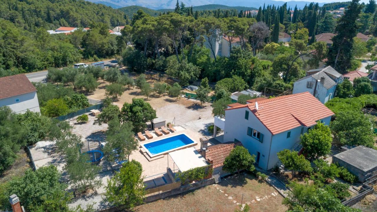 קורצולה Villa Ivanka מראה חיצוני תמונה